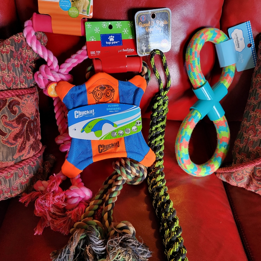 NWT Plush dog toys (set of 5)